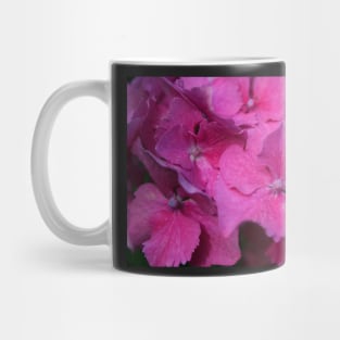 Hydrangea Mug